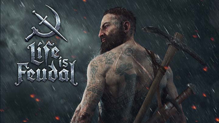 Life is Feudal: MMO